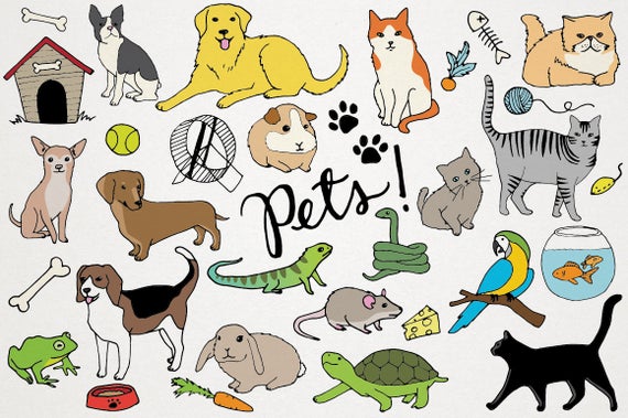 If you could have ANY animal as a pet, what one would you choose? | Y95.5